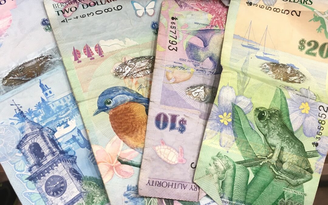 Automating Multi-Currency Price Updates from FX Feeds Using Robomotion